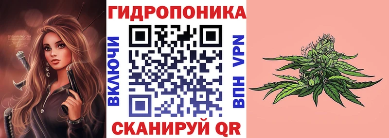 Шишки марихуана планчик  дарнет шоп  Алдан 